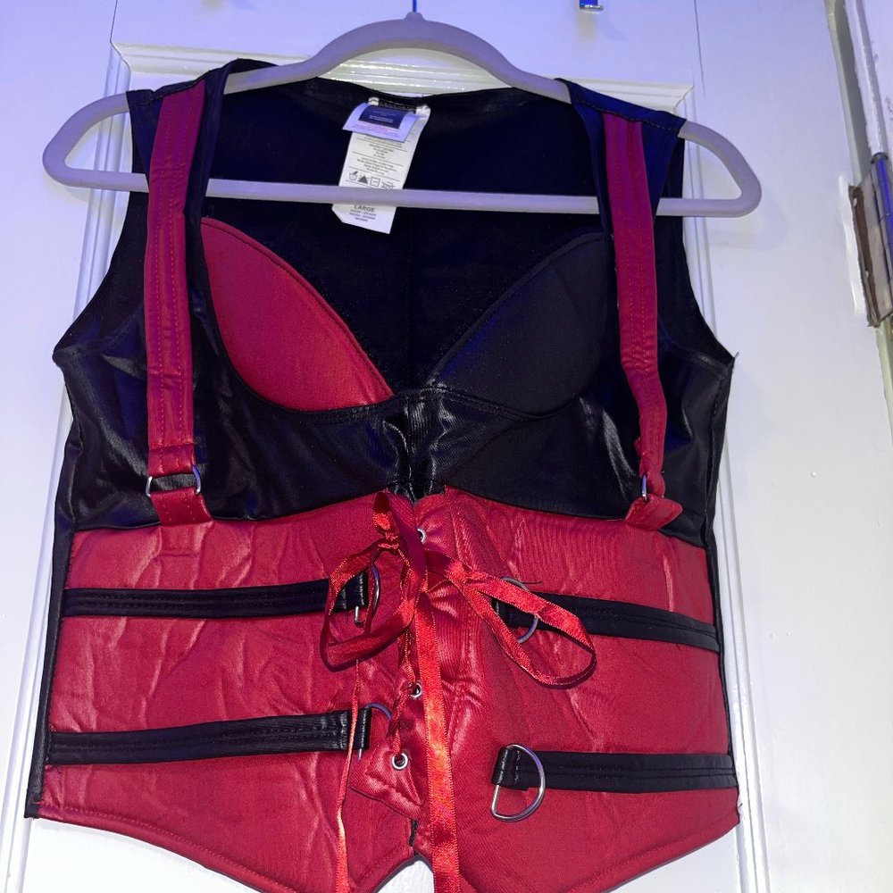 Harley Quinn Costume